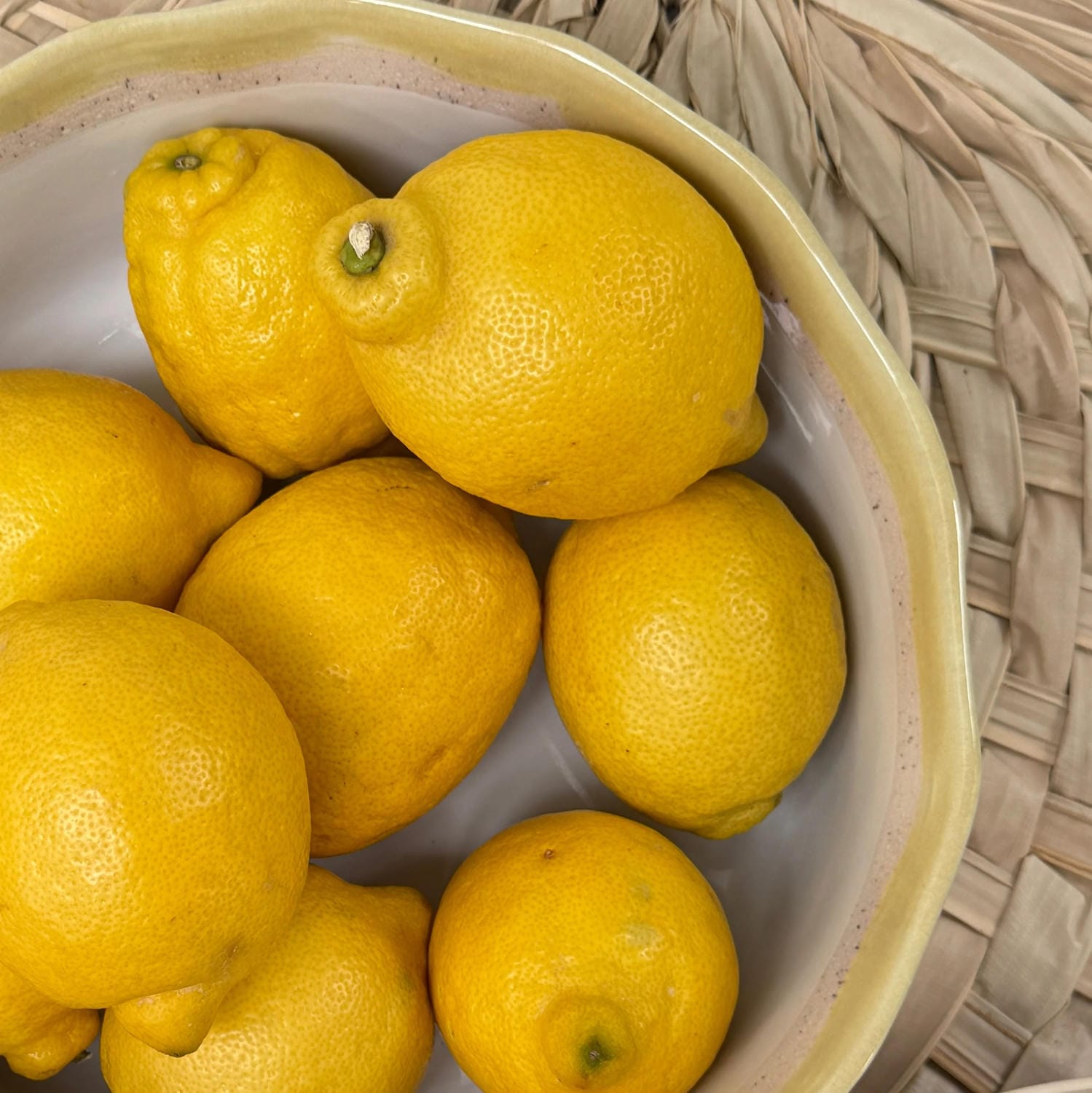 Bowl Roswitha Randvoll - Marille