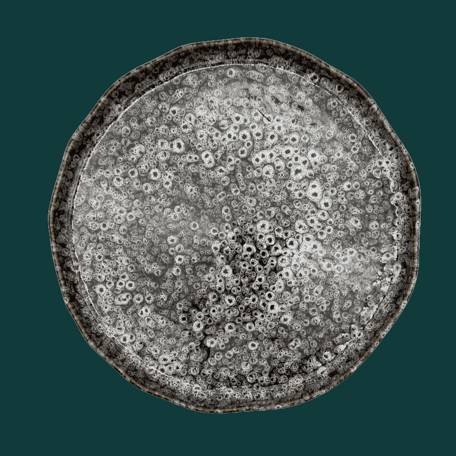 Teller Karl - heisse Schokolade